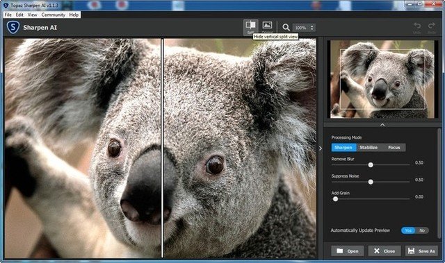 topaz photo ai batch processing