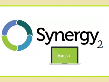 Synergy Crack