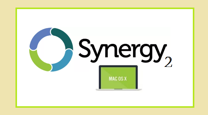 synergy cracked download