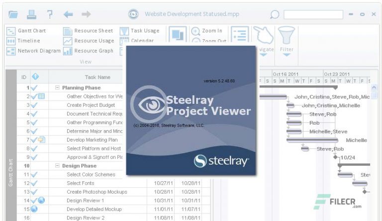 download steelray project viewer mpx error