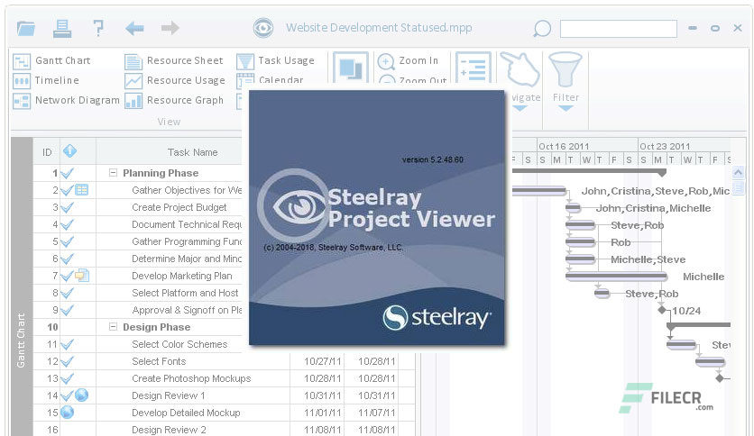 Steelray Project Viewer Crack